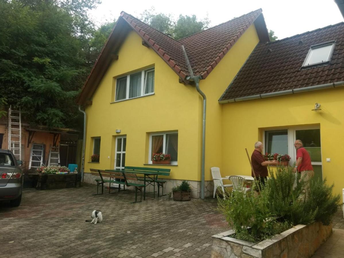 Foki Vendeghaz Villa Hidegseg Eksteriør bilde